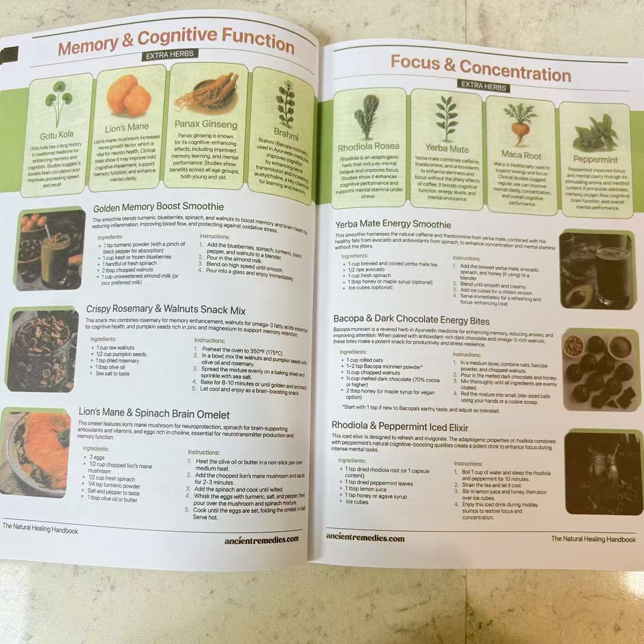The Natural Healing Handbook | - Herbal Holistic Wellness recension och pris