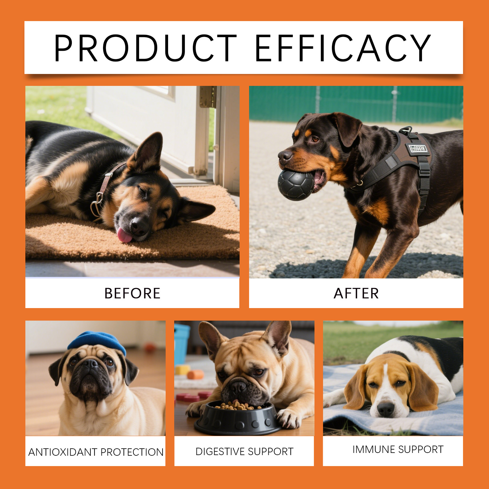 Dog Herbal Drops - Irresistibl - Herbal Holistic Wellness recension och pris