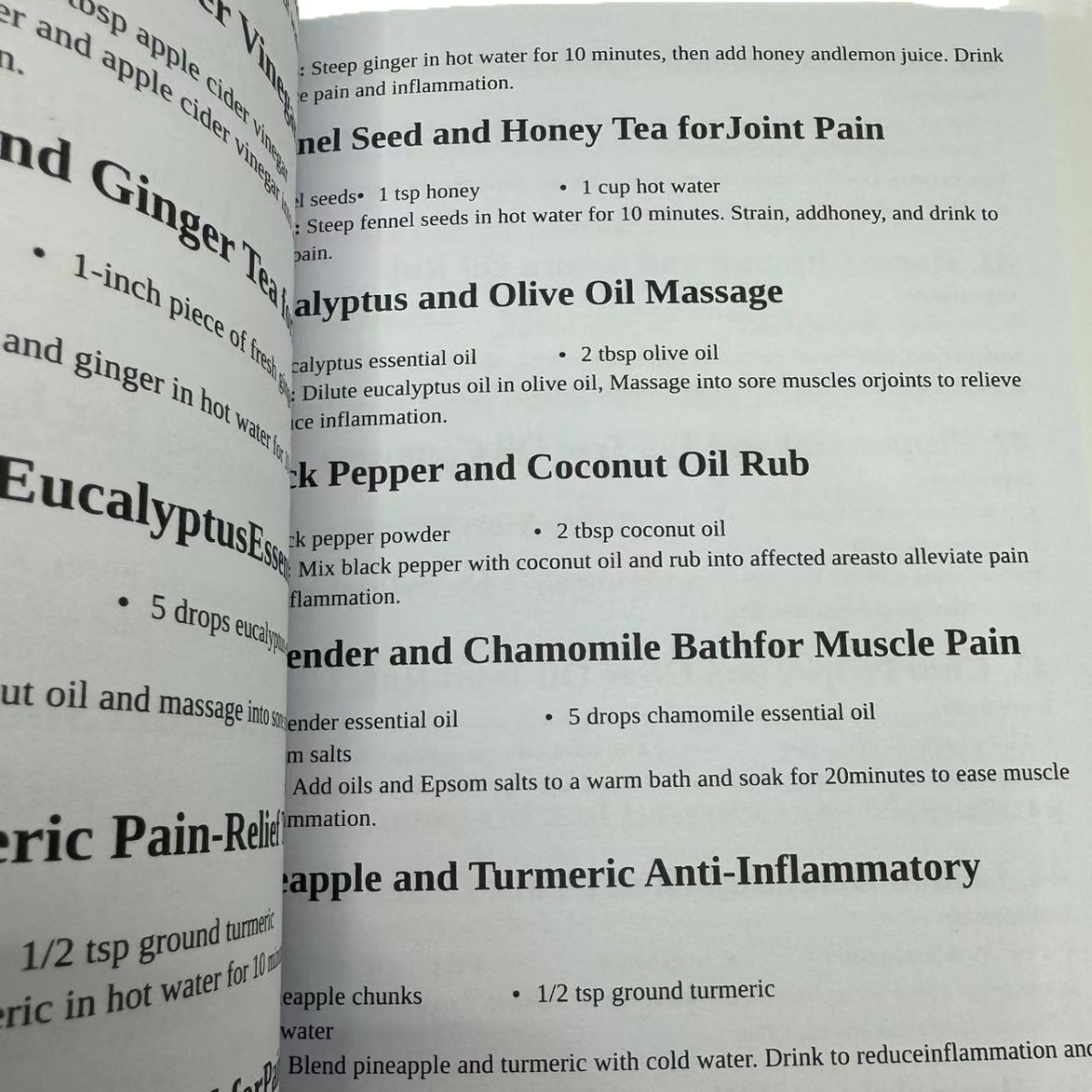 1000 FORGOTTEN REMEDIES The Ho - Herbal Holistic Wellness recension och pris