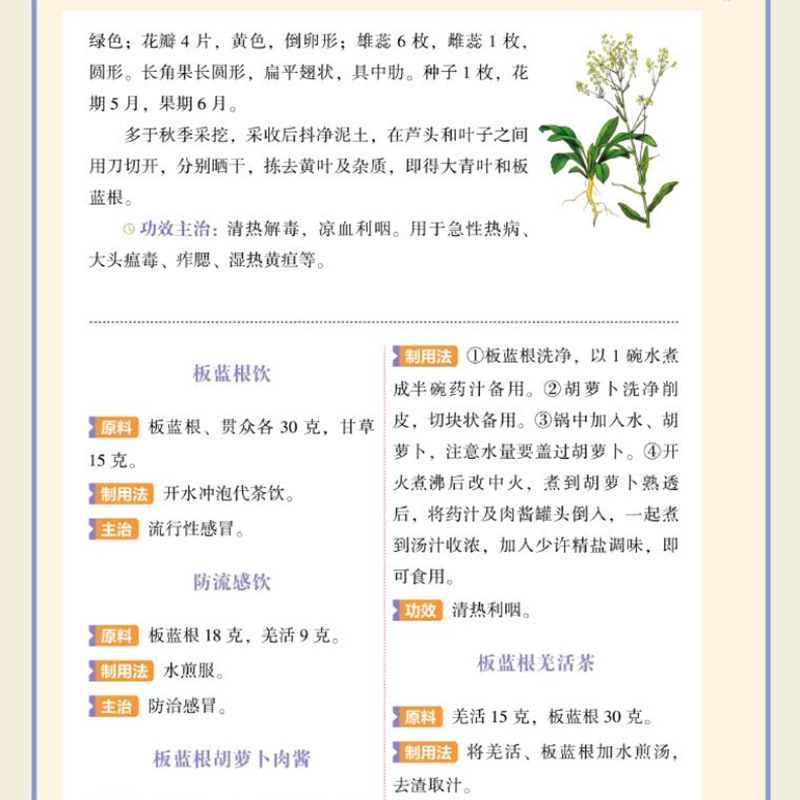 Single Herb TCM Nourishment Qu - Herbal Holistic Wellness recension och pris