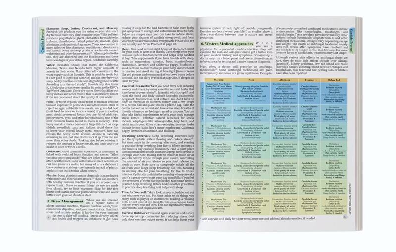 The Holistic Guide To Wellness - Herbal Holistic Wellness recension och pris